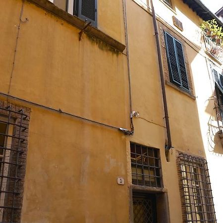 Alessandra Apartment ルッカ エクステリア 写真